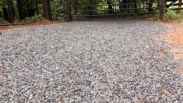 A gravel path leading to a metal gate surrounded by trees.