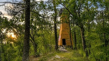 A rustic wooden cabin surrounded by dense forest.