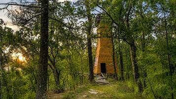Une cabane en bois rustique, entourée d’une forêt dense.
