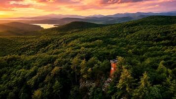 Un paysage boisé avec une structure en forme de tour, au milieu d’une végétation luxuriante.