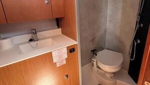 Une petite salle de bain avec un meuble-lavabo en bois, des toilettes et un espace douche.
