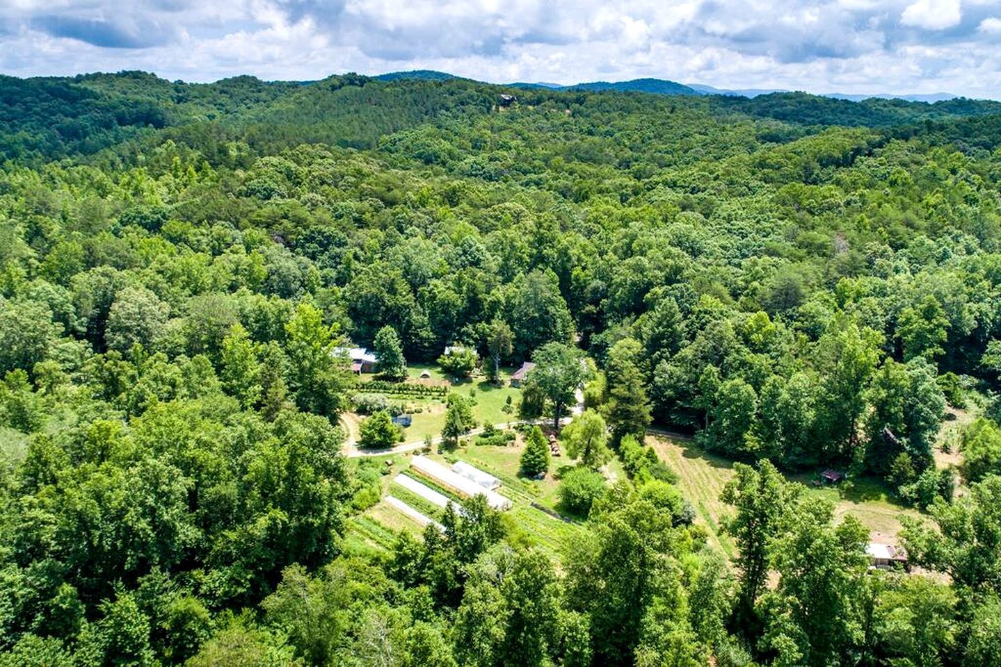 A forested area with scattered buildings and clearings.
