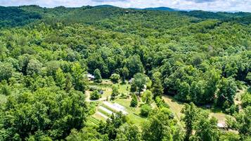 A forested area with scattered buildings and clearings.