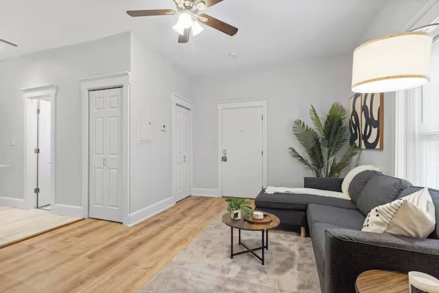 A modern living room with a gray sofa, a coffee table, a ceiling fan, and a large plant.