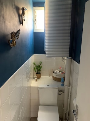 Ducha, secador de pelo, toallas, jabón