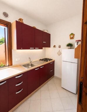 A kitchen with a sink, stove, and refrigerator, wooden cabinets, and a small plant on the counter. - Beach Walk Apartments - San Teodoro (San Teodoro)