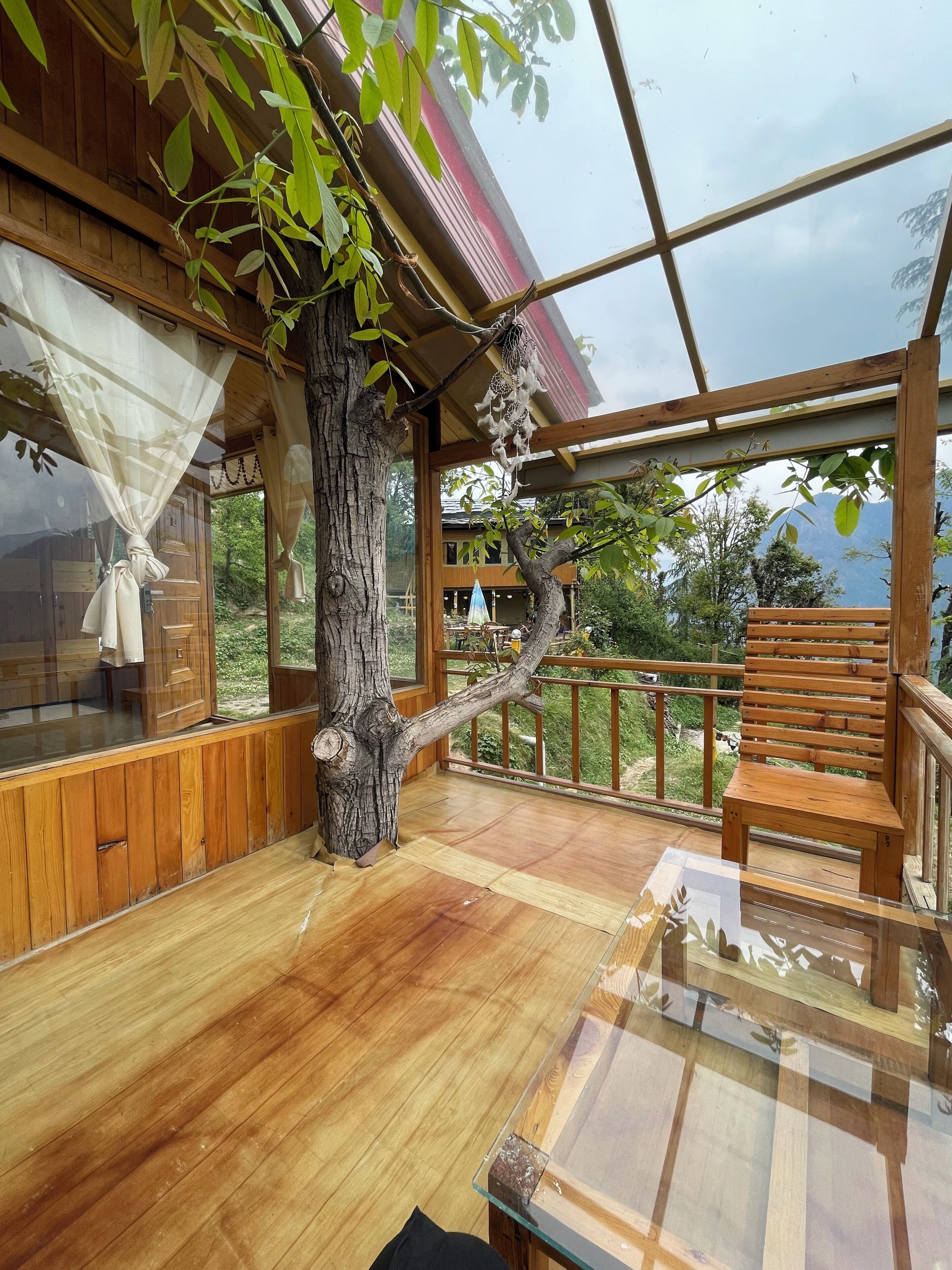 A wooden cabin with a glass ceiling, a wooden bench, and a tree trunk integrated into the structure.
