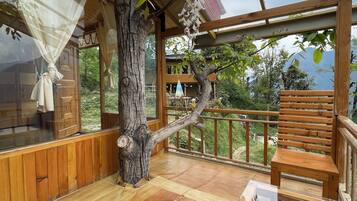 A wooden cabin with a glass ceiling, a wooden bench, and a tree trunk integrated into the structure.