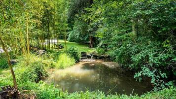 A serene pond surrounded by lush greenery and bamboo trees.