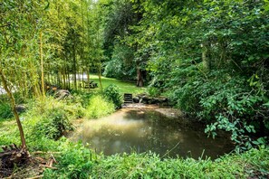 A serene pond surrounded by lush greenery and bamboo trees.