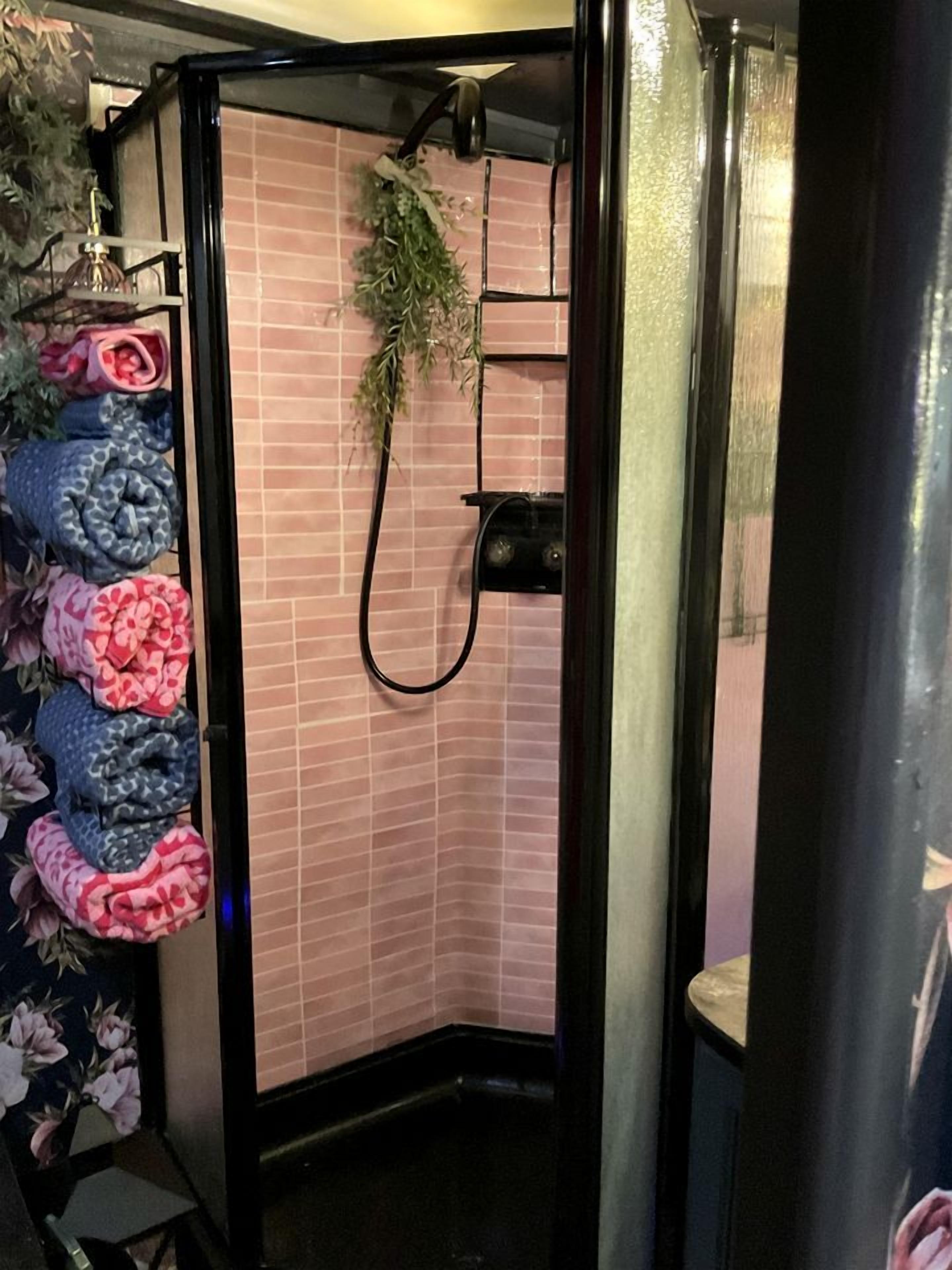 Hair dryer, towels, soap, shampoo