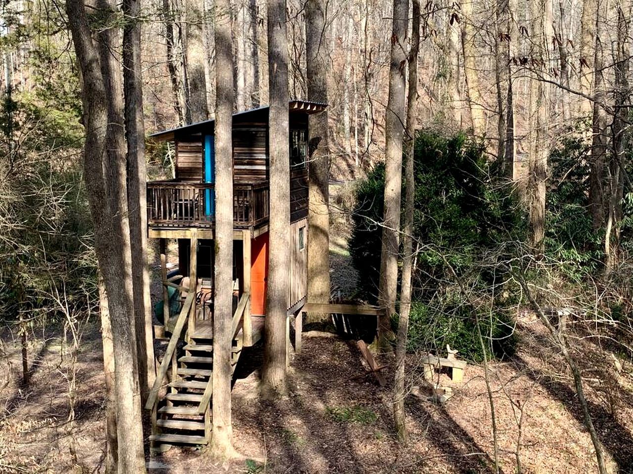 A treehouse with a wooden staircase leading up to it, surrounded by trees.