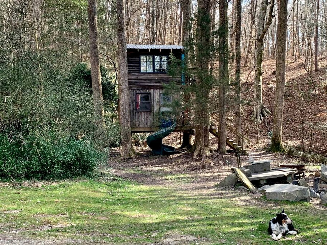 Una baita rustica con uno scivolo, immersa tra alberi e un prato.
