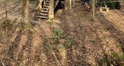 Rustic Woodland Treehouse with Fire Pit in Talking Rock, Georgia