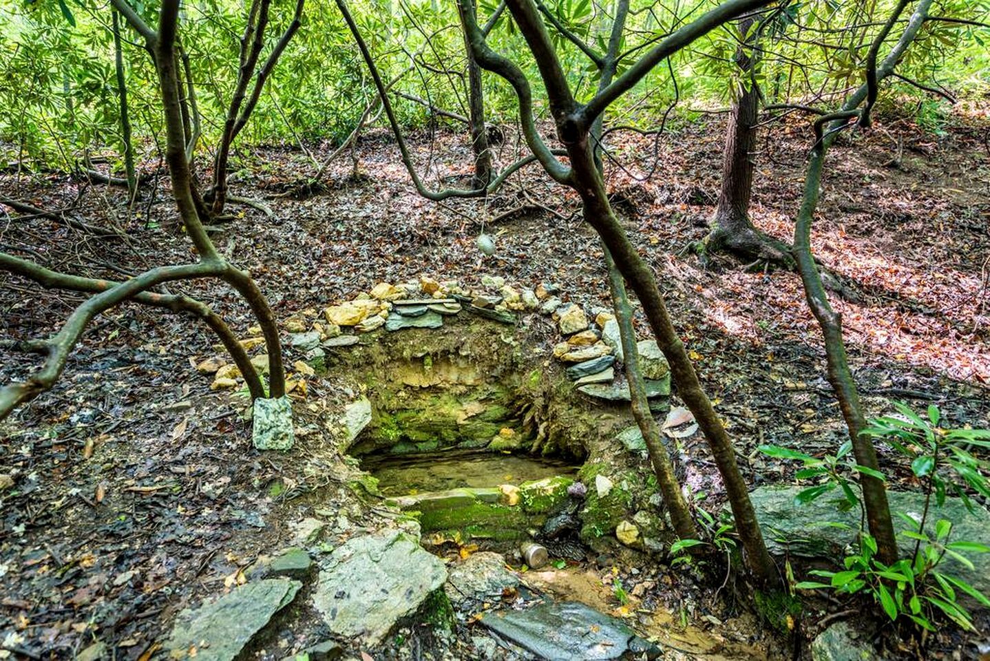 A natural stone structure surrounded by forest.