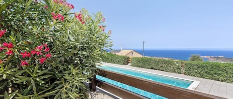 A swimming pool with a view of the sea, surrounded by greenery and a clear sky.