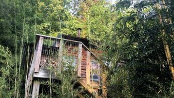 A wooden cabin with a metal staircase, surrounded by dense foliage.