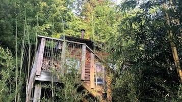 En stuga av trä med en metalltrappa, omgiven av tät vegetation.