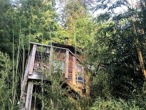 Una cabaña de madera con una escalera metálica, rodeada de follaje denso.