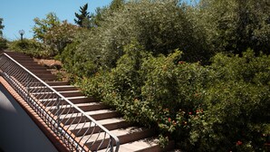 Una escalera con barandilla metálica que lleva a un jardín con diversas plantas y arbustos.