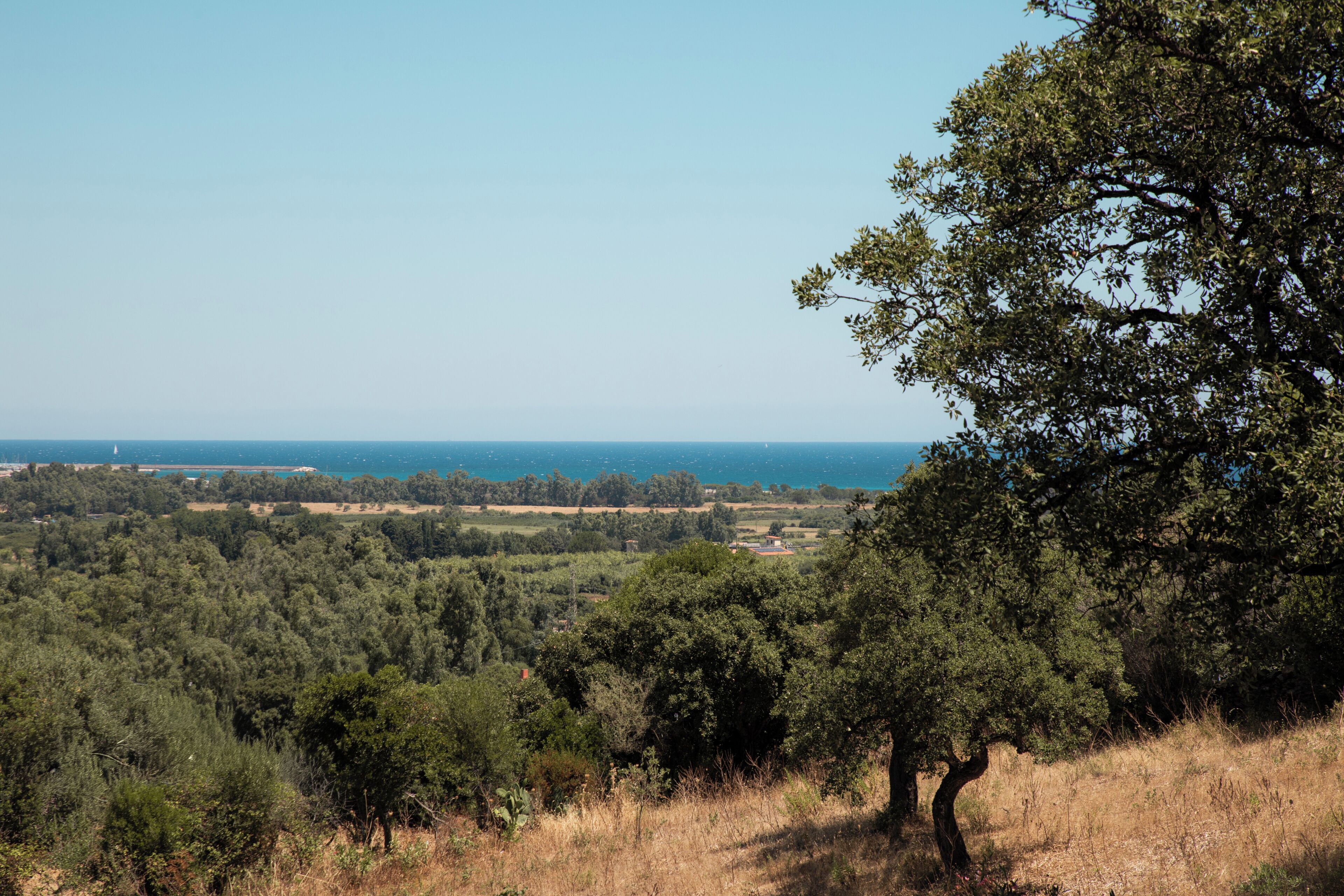 Eine Landschaft mit Blick auf das Meer, Bäume und einen klaren Himmel.