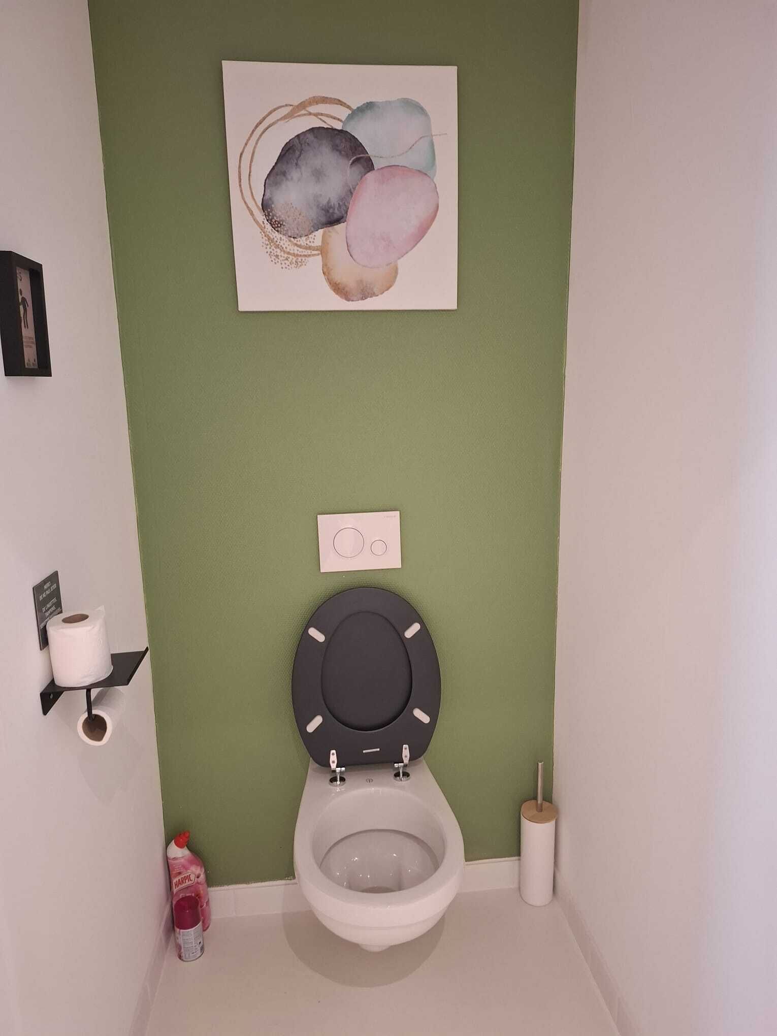 Een badkamer met een toilet, een handdesinfecterend middel, een toiletpapierhouder en een schilderij aan de muur.