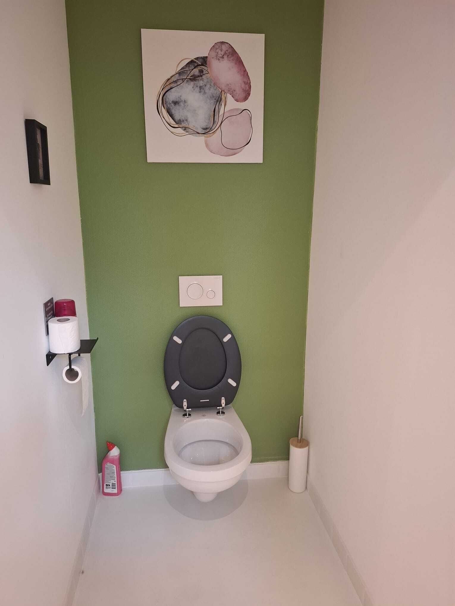 Et badeværelse med toilet, toiletpapir, en håndtørrer og et billede på væggen.