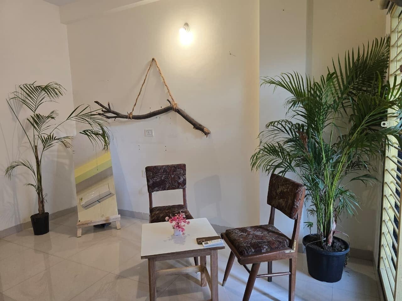 Una habitación con una mesa blanca, dos sillas, una rama decorativa en la pared y plantas en macetas.