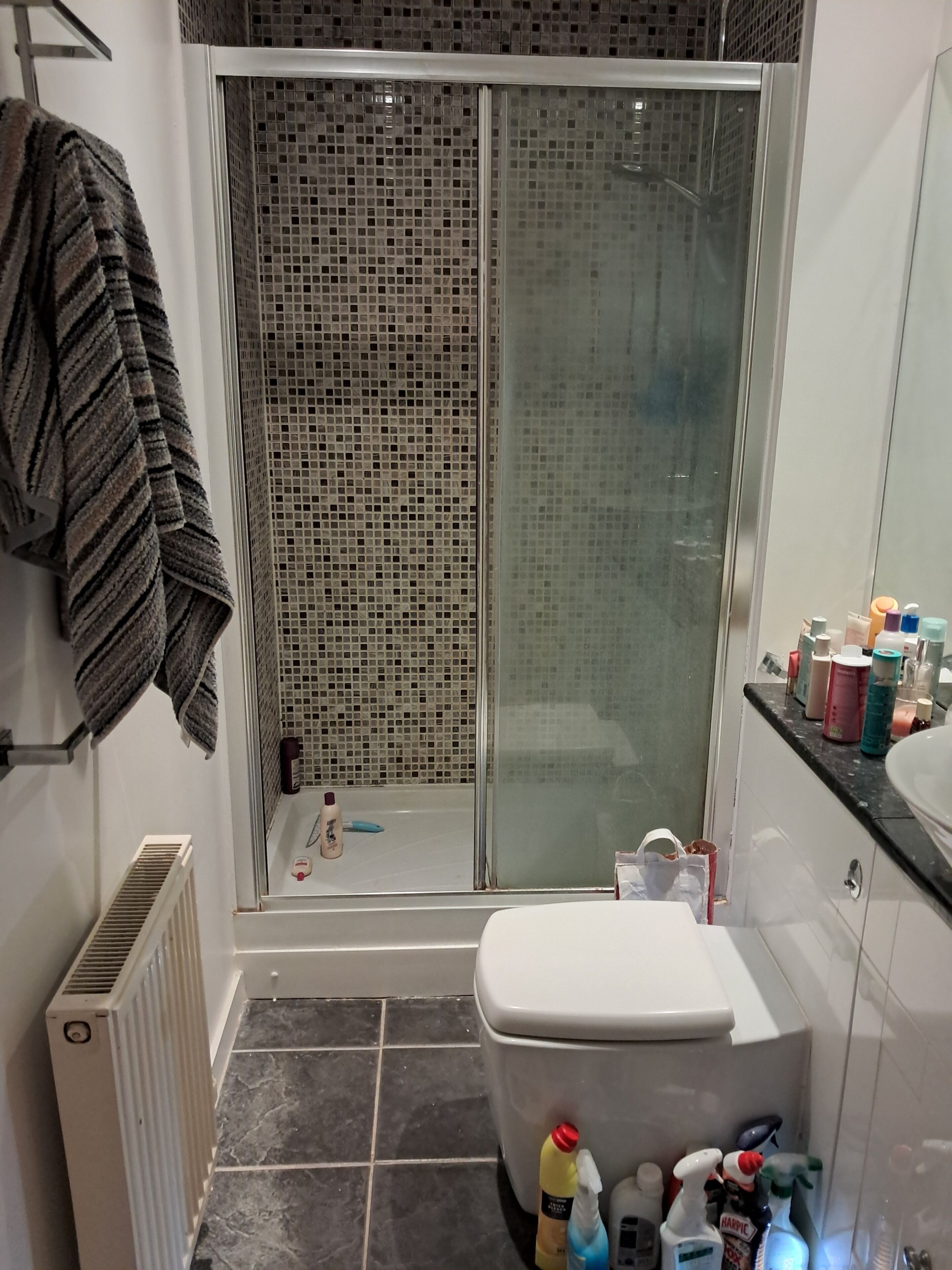 Shower, hair dryer, towels, toilet paper