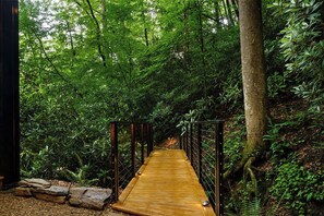 Un pont de fusta en una zona boscosa, amb baranes metàl·liques.