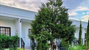 A well-maintained garden with a large tree, a bench, and a pathway leading to a building with a white facade. - Inter Paradise Resort (Dan Khun Thot)