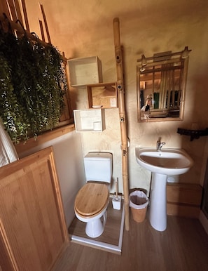 Haartrockner, Handtücher, Toilettenpapier