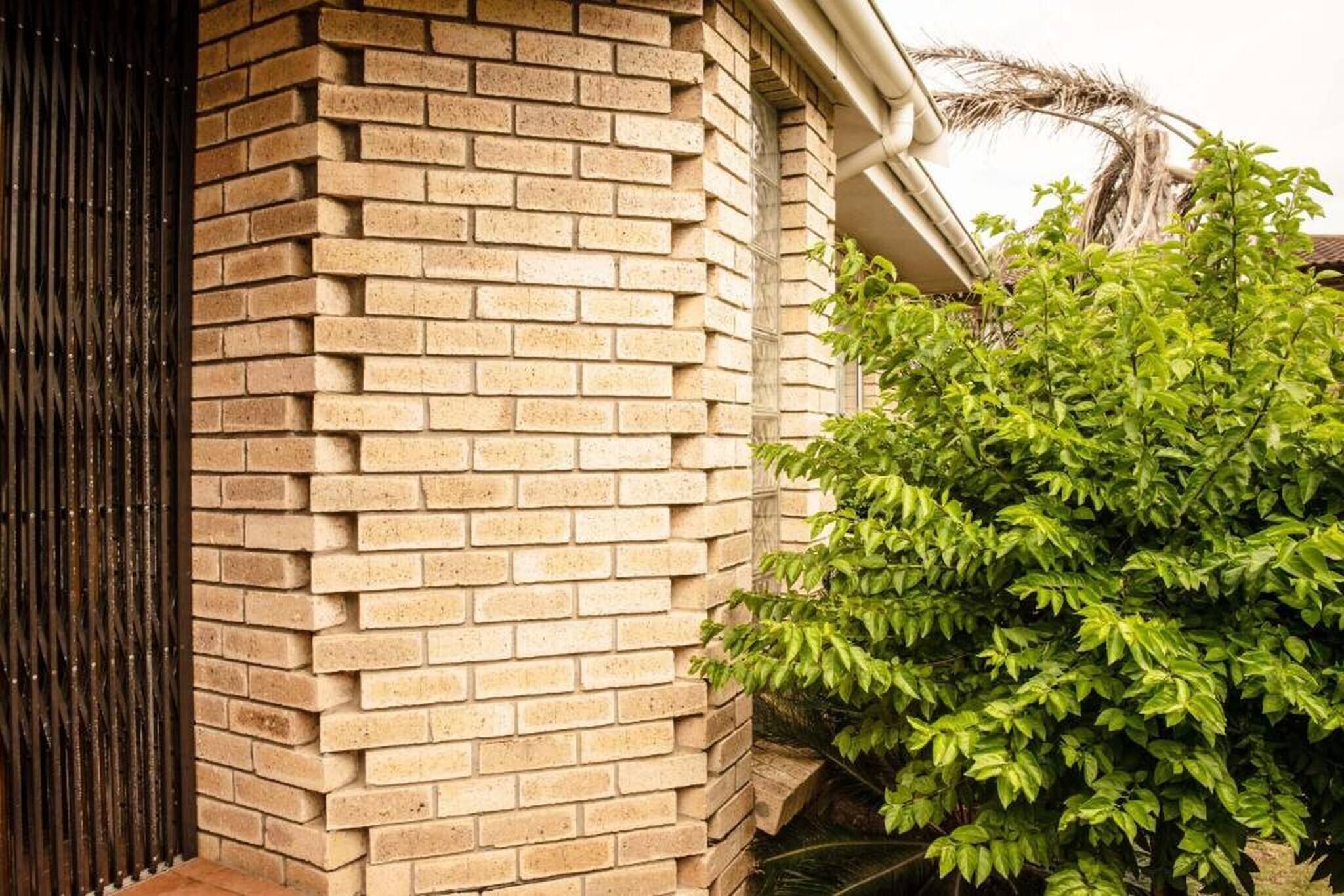 A brick wall with a window and a green bush.