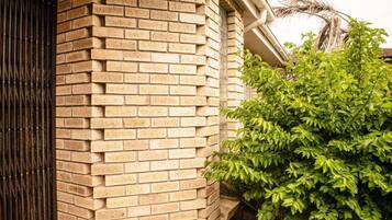 A brick wall with a window and a green bush.