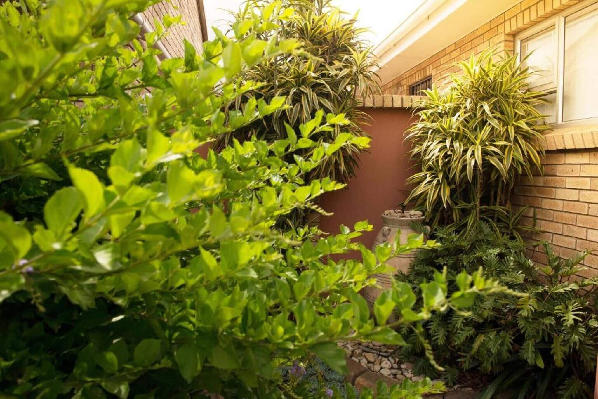 المنطقة المحيطة بالمنشأة