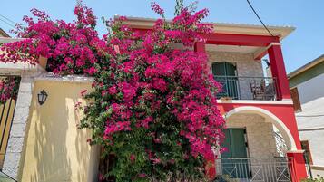 Un bâtiment doté d’un balcon et agrémenté d’une magnifique plante de bougainvillier aux couleurs vives.