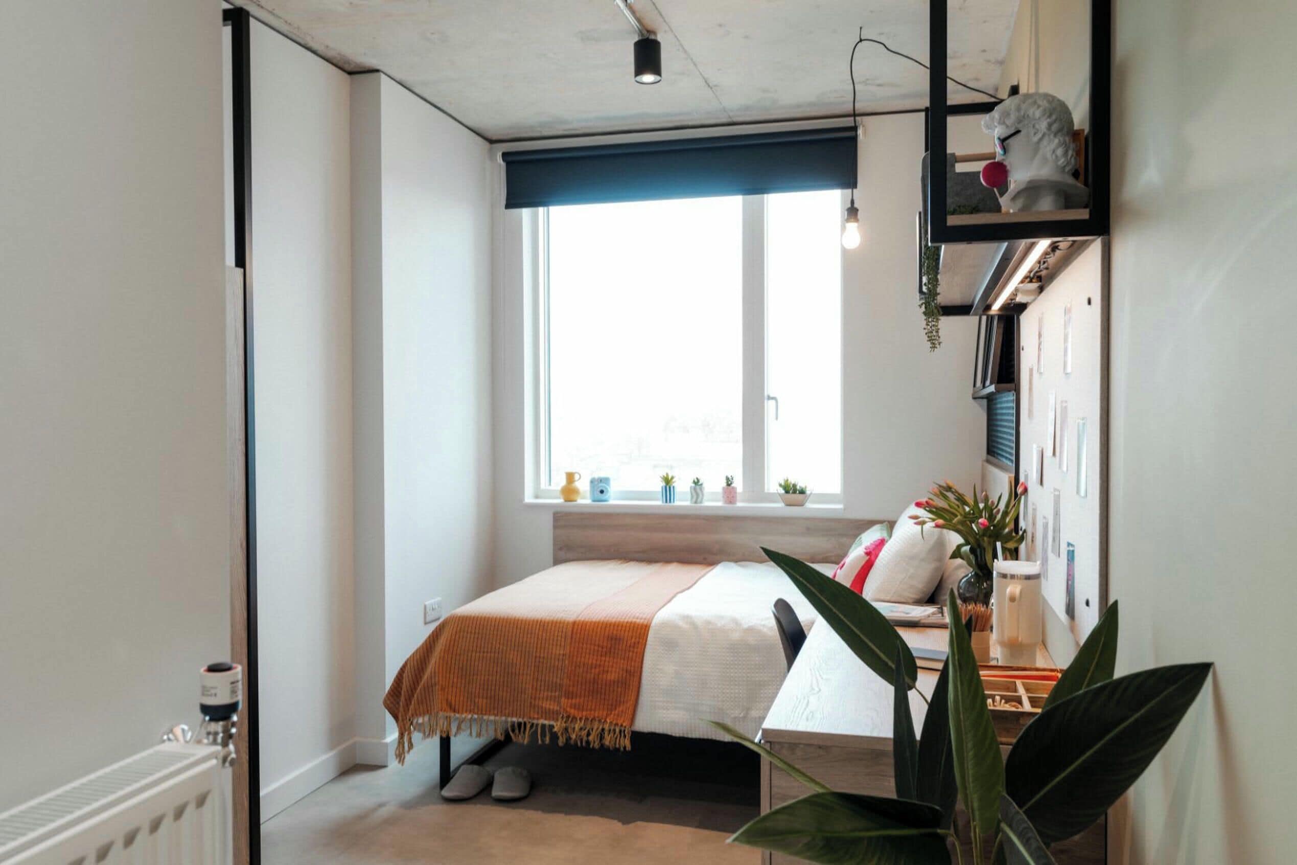 Chambre simple, non-fumeur | Accès au Wi-Fi (inclus)