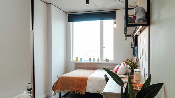 A bedroom with a bed, a window, a radiator, a shelf with a bust, and a plant. - Student Only YourTRIBE Southwark (London)
