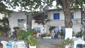 A building with a white facade, blue shutters, and a tree with a white-painted trunk. There are potted plants and outdoor seating.