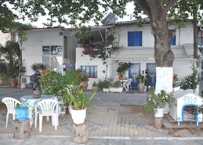 A building with a white facade, blue shutters, and a tree with a white-painted trunk. There are potted plants and outdoor seating.