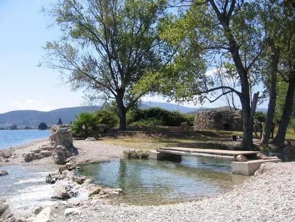 A natural landscape with a clear water body, rocky shore, and trees.