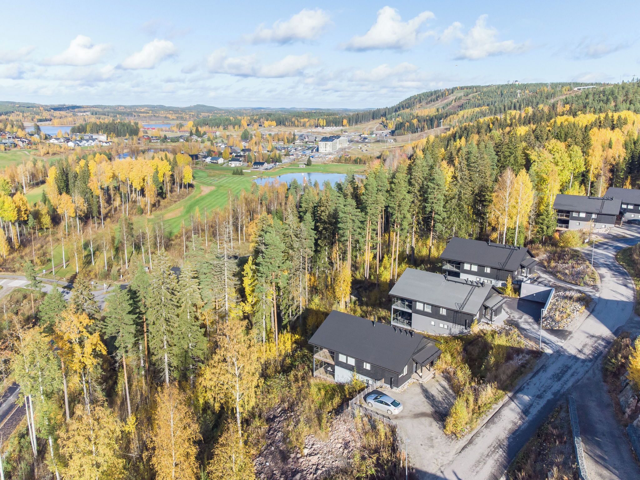 A residential area with houses, a golf course, and a lake.