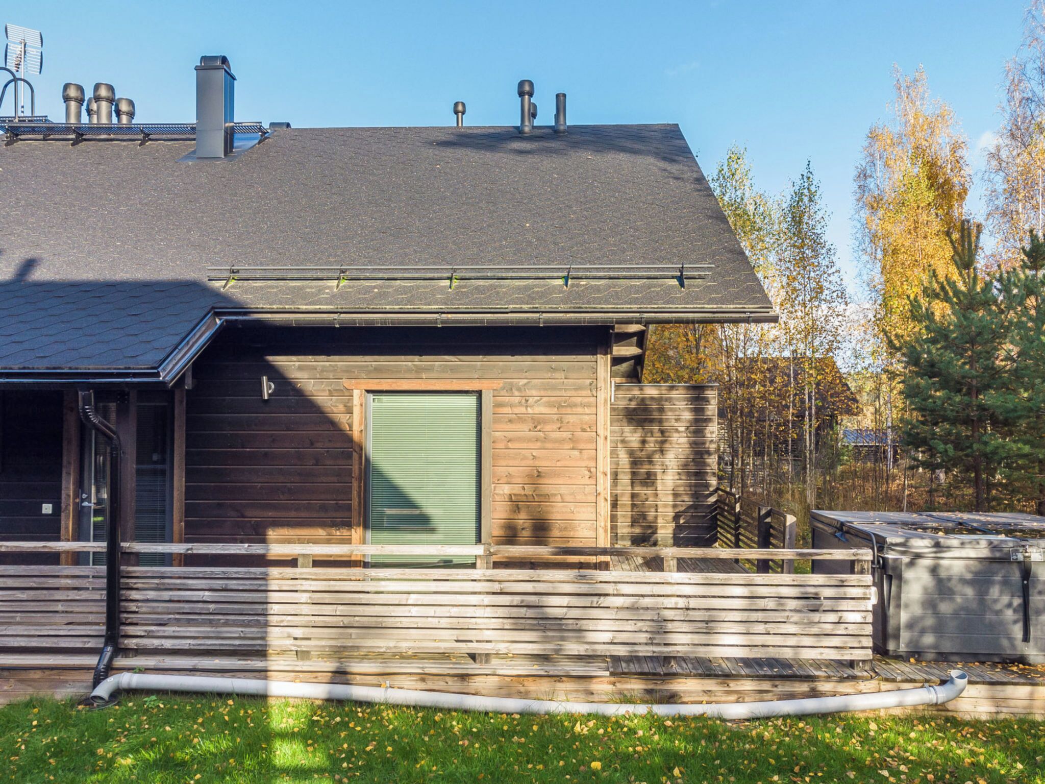 Eksteriør