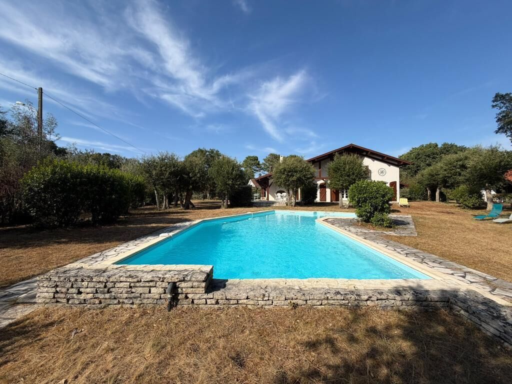 Una piscina con bordo in pietra, circondata da erba secca e alberi.
