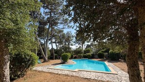 A swimming pool surrounded by trees and a stone pathway. - Etxe Océan - Swimming Pool (LABENNE OCÉAN)