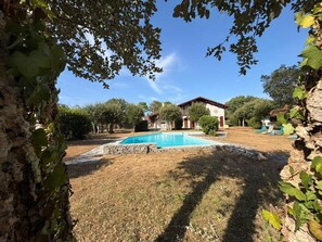 A residential property with a swimming pool, surrounded by a stone wall and greenery.
