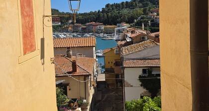 Studio Apartment (17 square meters, room with a double sofa bed, kitchenette, bathroom)