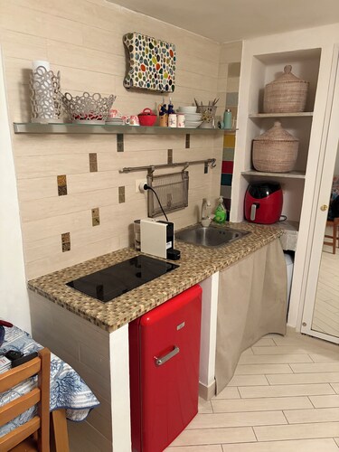 Studio Apartment (17 square meters, room with a double sofa bed, kitchenette, bathroom)