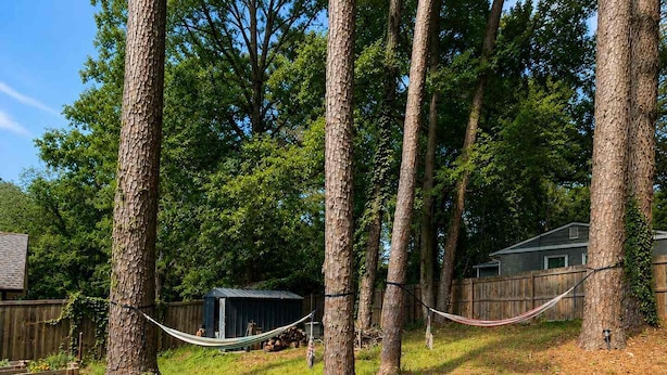 A hammock tied between trees in a backyard with a shed and a house in the background. - Atlanta Oasis with a Spa Suite, Huge Backyard, Fire Pit & Hammocks (Atlanta)