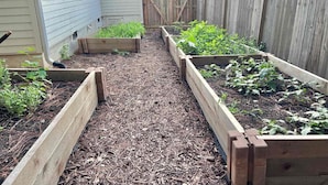 A garden with raised beds, a wooden fence, and a house in the background. - Atlanta Oasis with a Spa Suite, Huge Backyard, Fire Pit & Hammocks (Atlanta)
